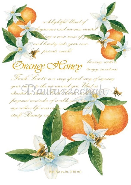 FRESH SCENTS ORANGE HONEY